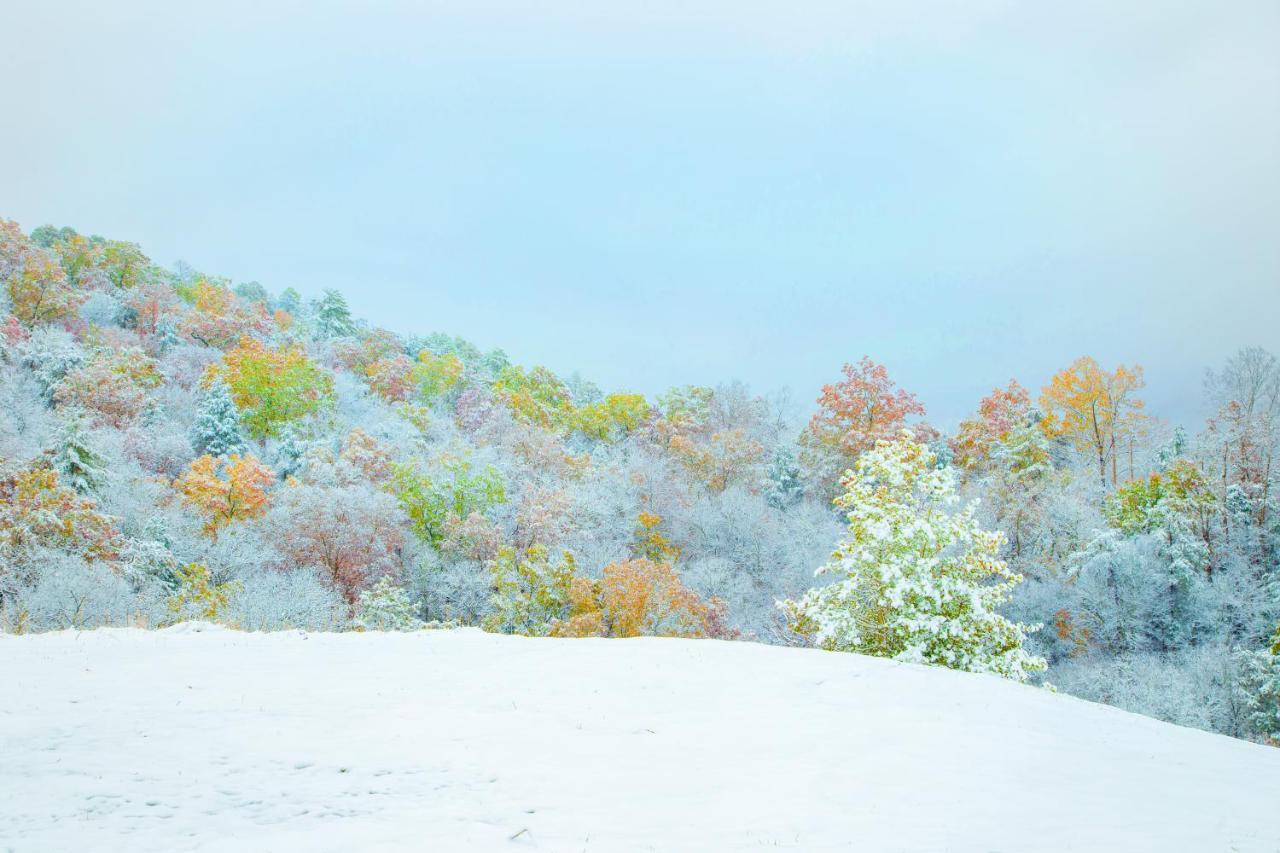 Вілла Leconte Mountain Breeze Гатлінбург Екстер'єр фото